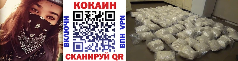 MEGA вход  Закаменск  КОКАИН Fish Scale 