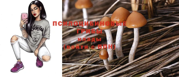ПСИЛОЦИБИНОВЫЕ ГРИБЫ Алзамай